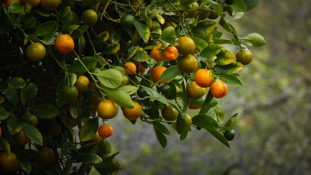 JDB���ӡ�(�й���)����ƽ̨-JDB������Ϸ����