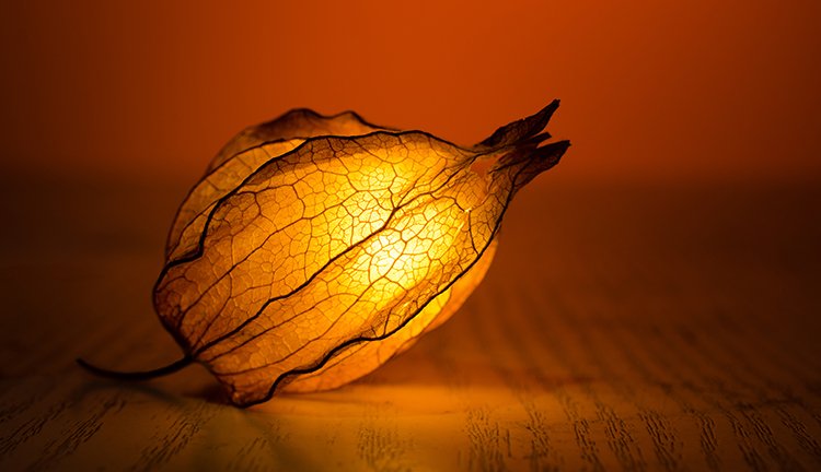 JDB���ӡ�(�й���)����ƽ̨-JDB������Ϸ����