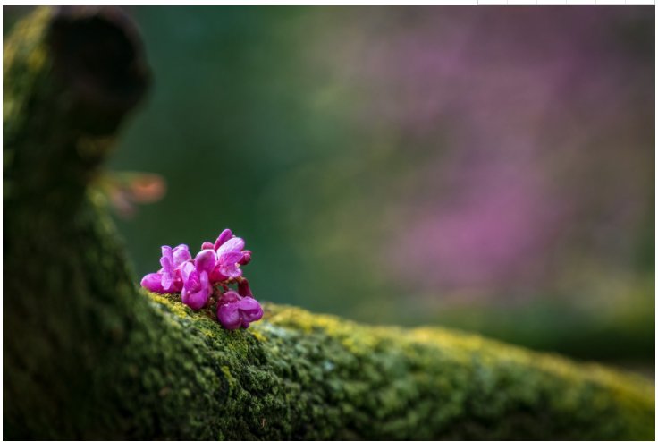 JDB���ӡ�(�й���)����ƽ̨-JDB������Ϸ����